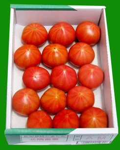 フルーツトマト　Ｍサイズ